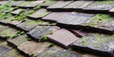Eccleston Lane Ends roof repair costs